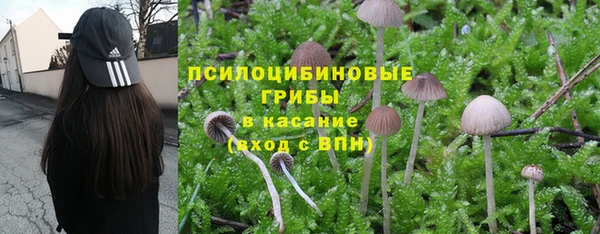 кокаин VHQ Богданович