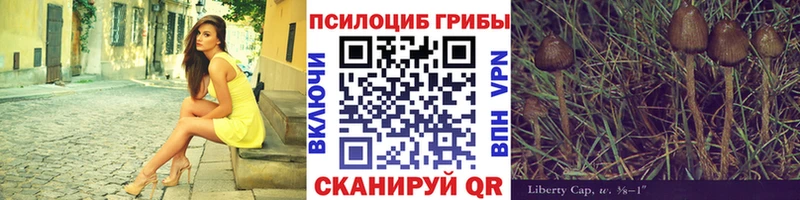 MEGA как зайти  Ессентуки  Галлюциногенные грибы Psilocybe  как найти закладки 