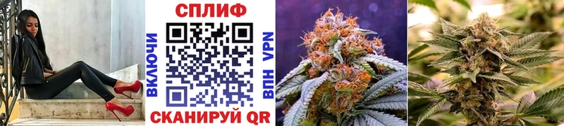 купить наркоту  Ессентуки  Каннабис сатива 